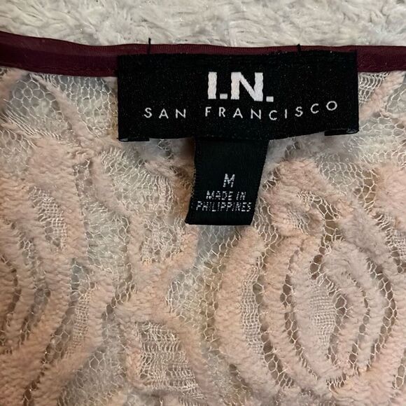 I.N. Sheer Blouse - Picture 4 of 8